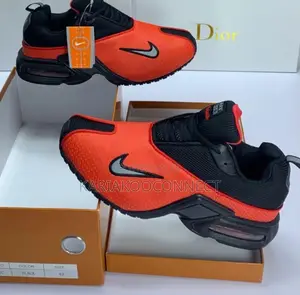Nike Air Max Sneakers