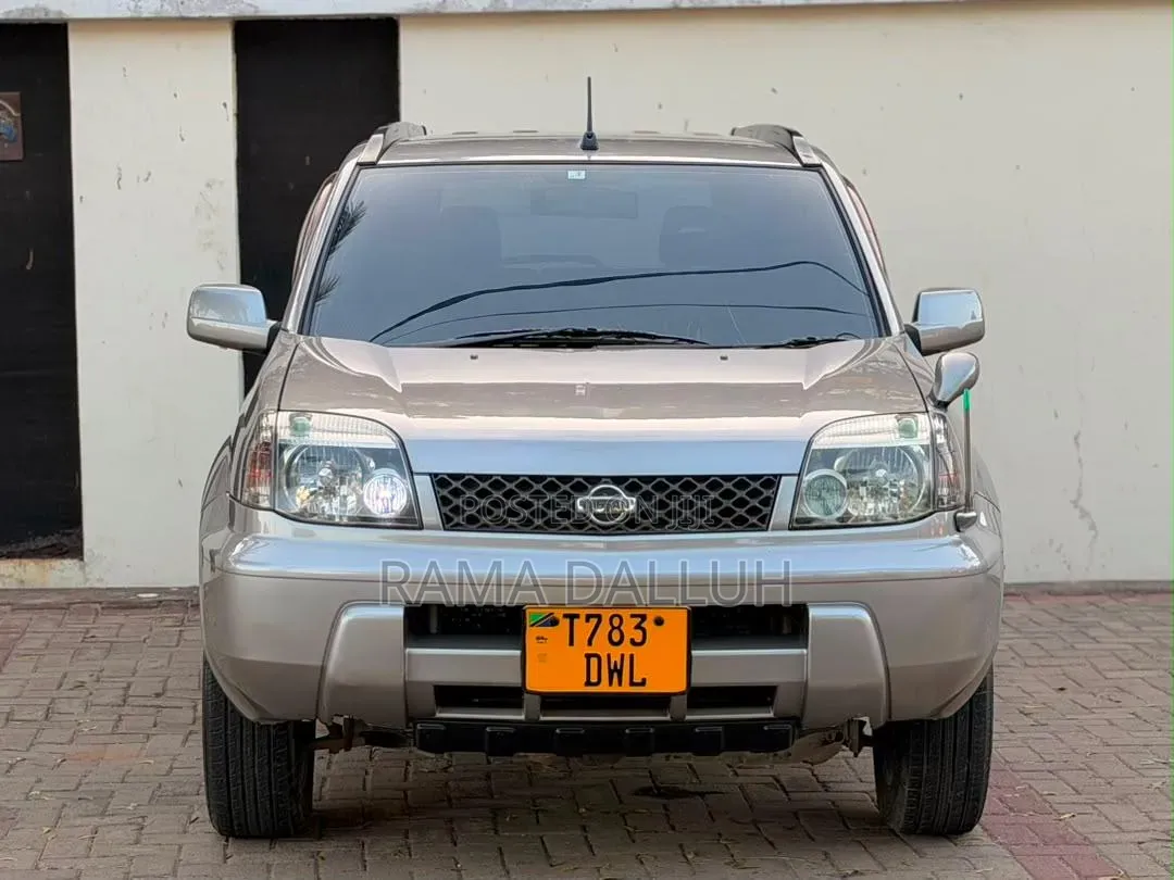 Nissan X-Trail 2004 Silver
