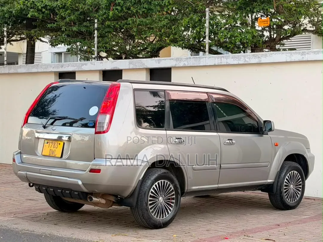Nissan X-Trail 2004 Silver