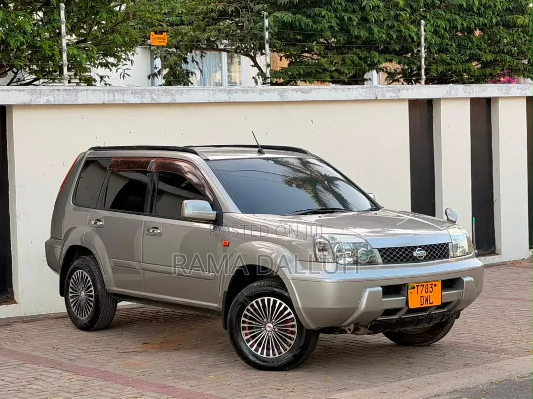 Nissan X-Trail 2004 Silver