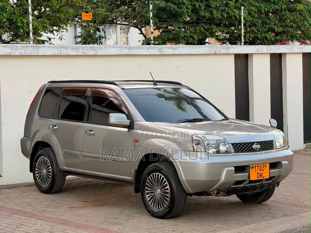 Nissan X-Trail 2004 Silver