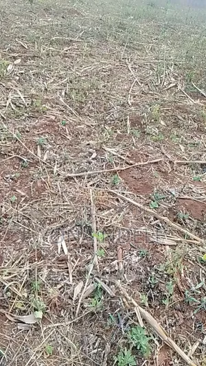 Shamba Linauzwa