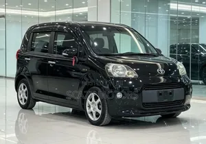 Toyota Porte 2013 Black