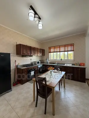 Furnished 1bdrm Apartment in Coolest, Masaki for rent