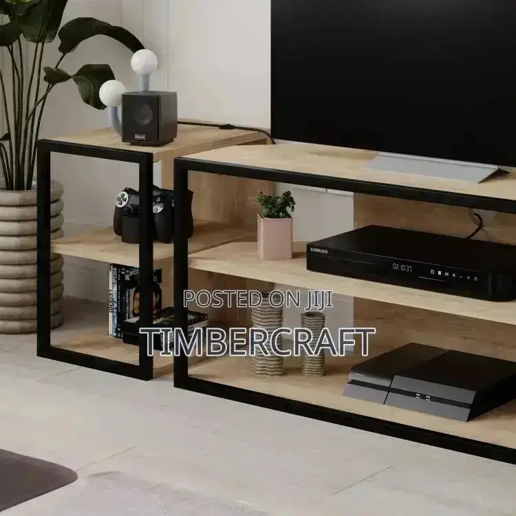 Echo TV Unit
