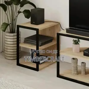 Echo TV Unit