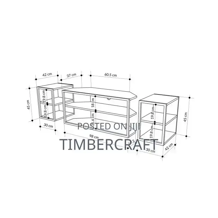 Echo TV Unit