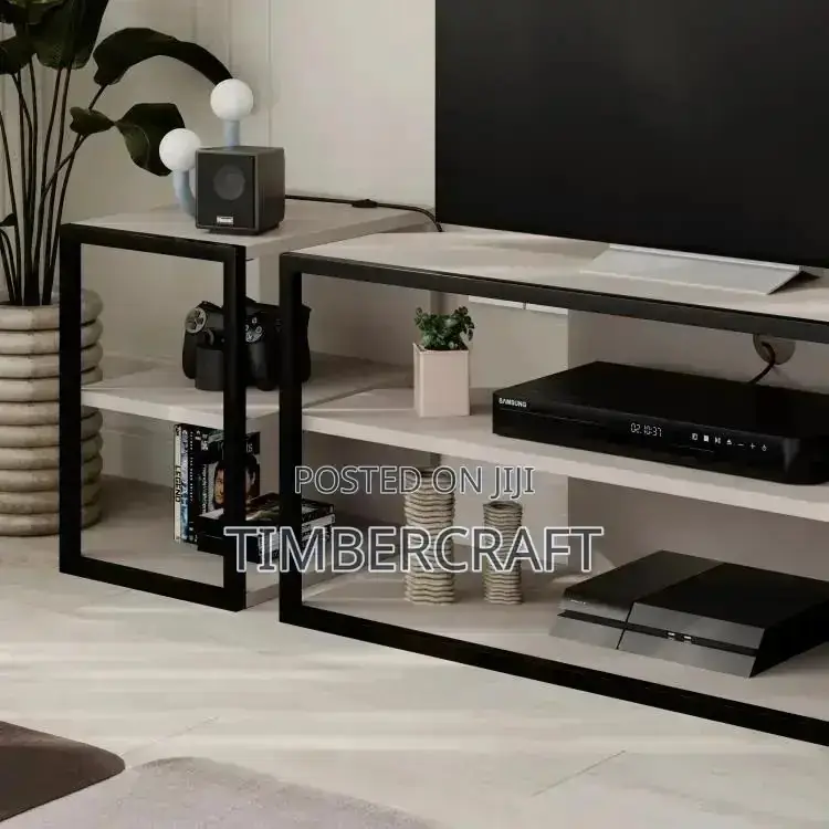 Echo TV Unit