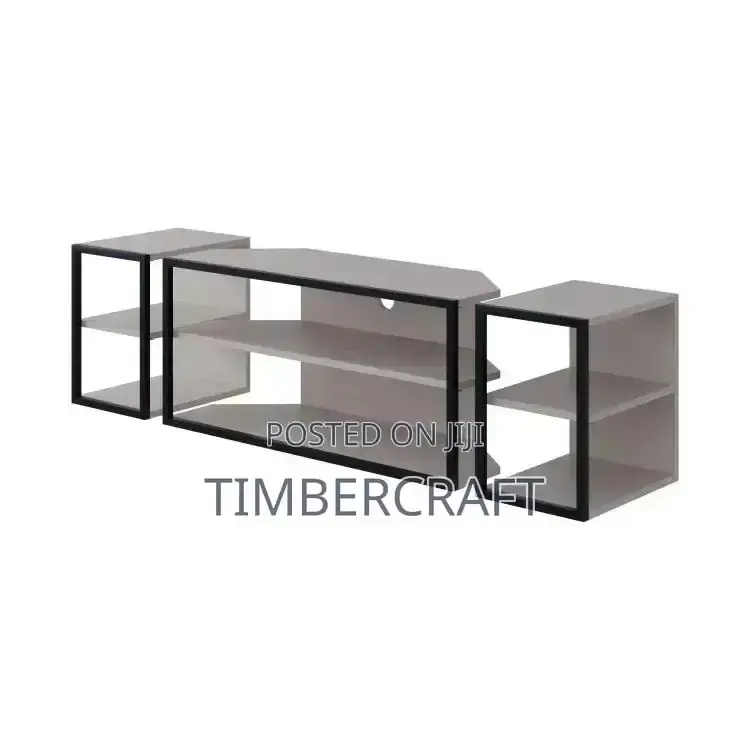 Echo TV Unit