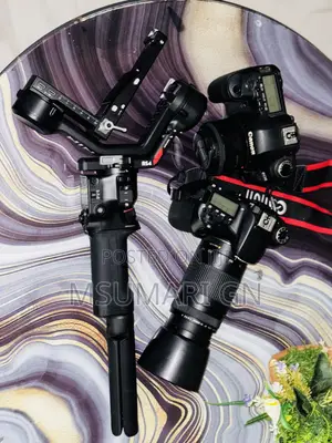 Canon Eos 70d Lens 50 Mm Ronin Dji RS4 Pro