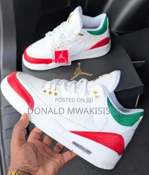 Air Jordan 3 Retro Sneakers - Premium Edition