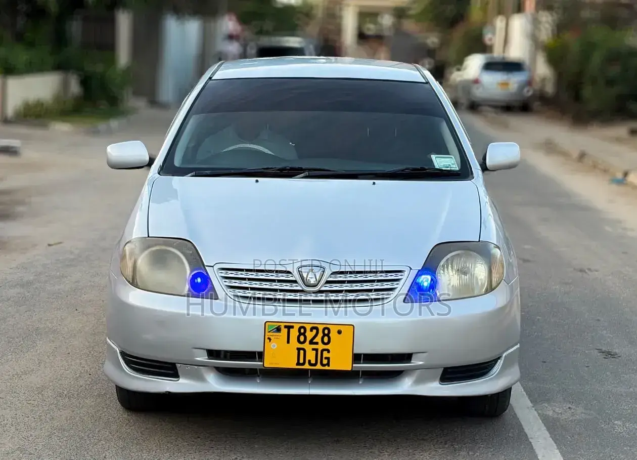 Toyota Allex 2004 Silver