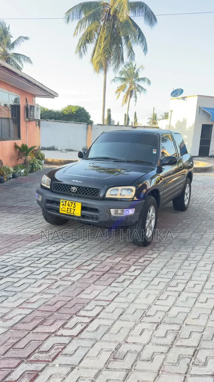 Toyota RAV4 Cabriolet 1998 Black