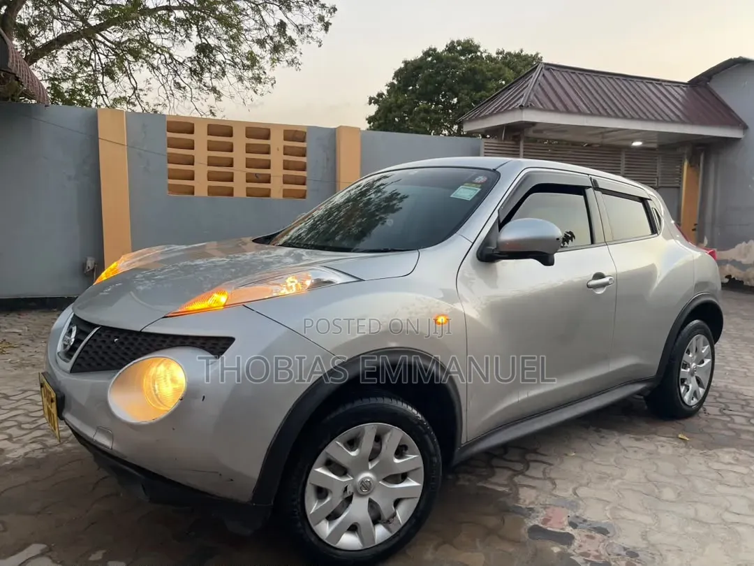 Nissan Juke 2011 Silver