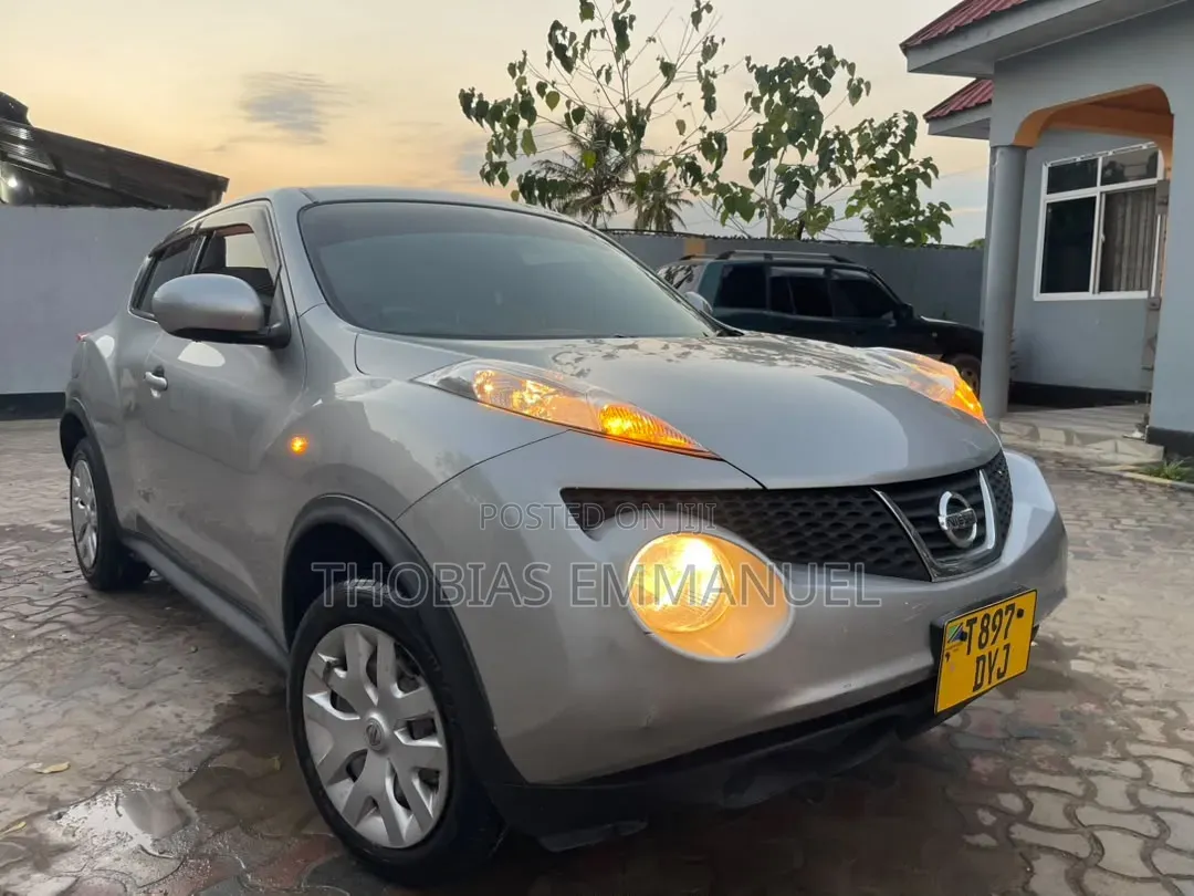 Nissan Juke 2011 Silver