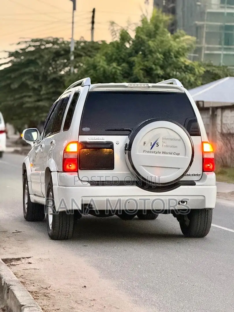 Suzuki Escudo 2003 Pearl