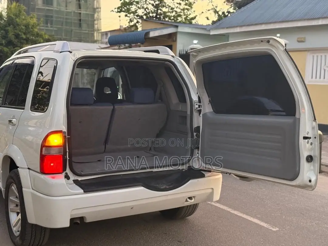 Suzuki Escudo 2003 Pearl