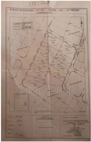 2,490 SQM Land - Vikonje Dodoma