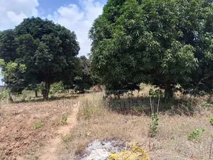 Plot for Sale TSH 18,000,000 at Pugu Mwakanga, Ukonga Dar Es Salaam