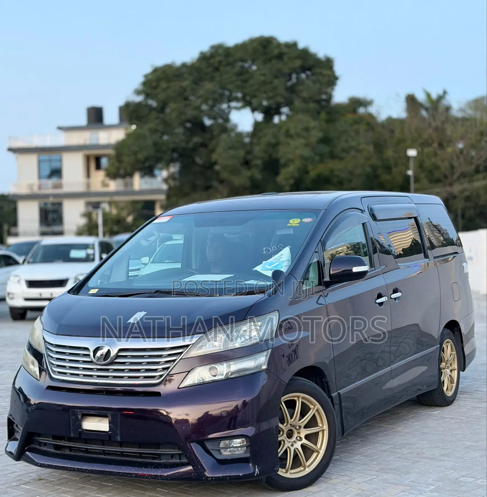 Toyota Vellfire 2009 Purple