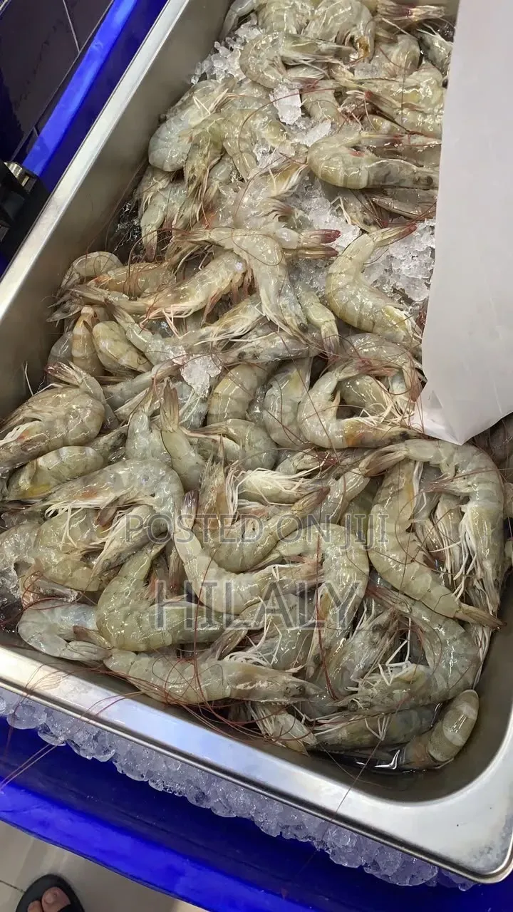Tunauza White Prawns Fresh Na Frozen Kwa Jumla Na Rejareja