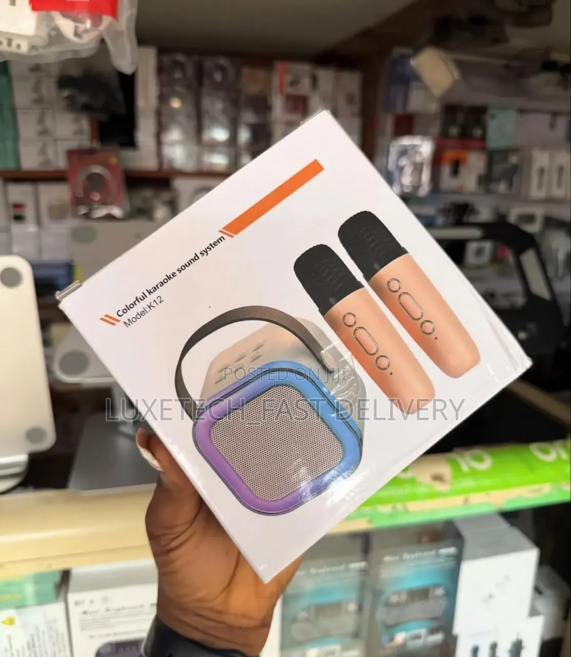 Mini Karaoke Speaker 2 Mics