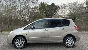 Toyota Corolla Spacio 2003 Silver