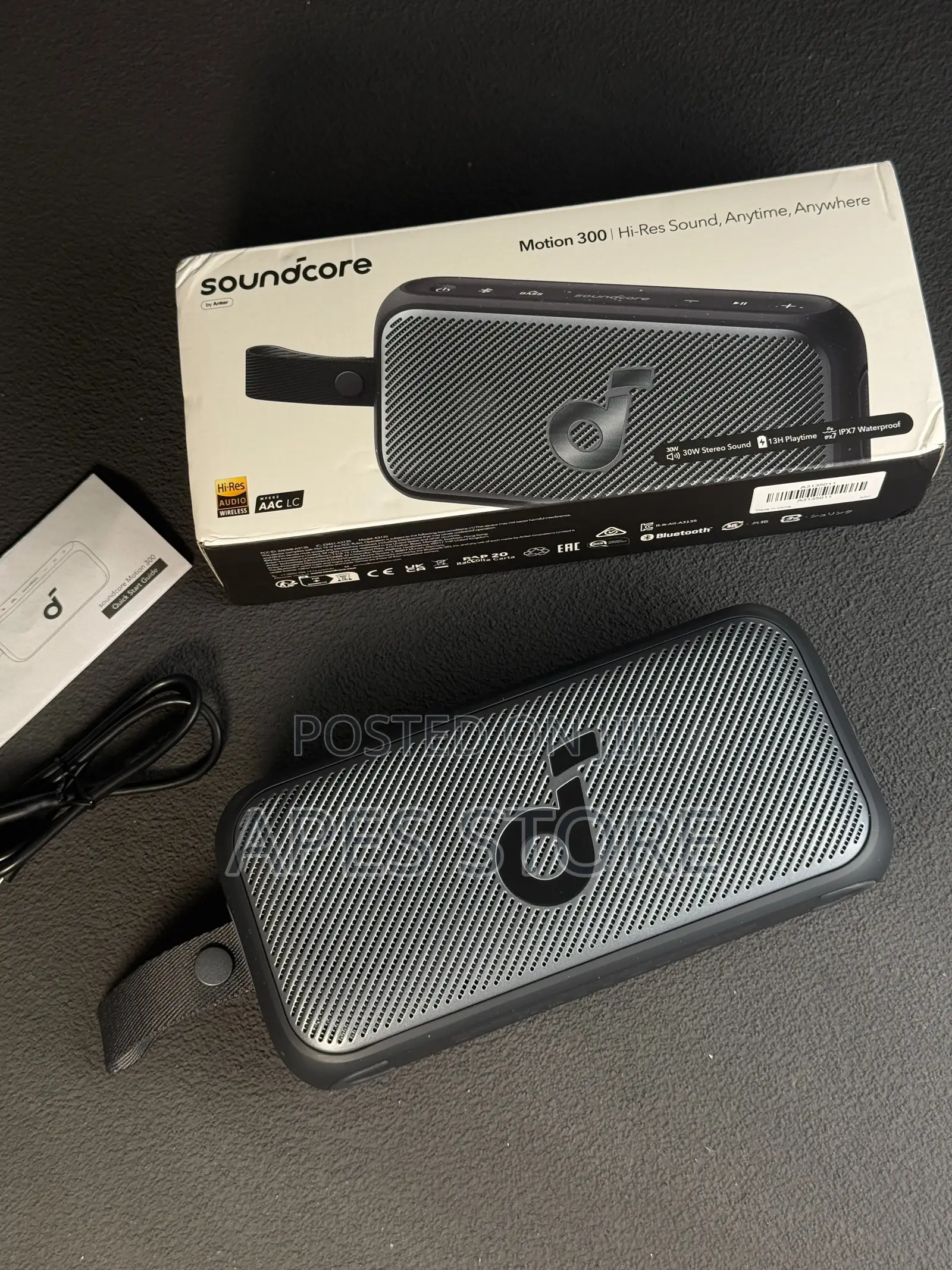 Soundcore Motion 300