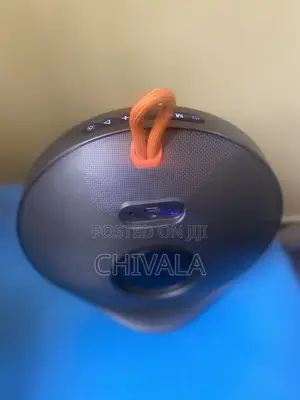 B57 Portable Speaker