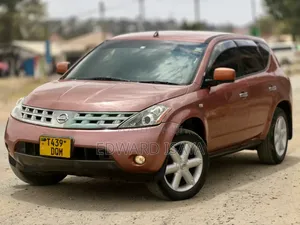 Nissan Murano 2005 Pink