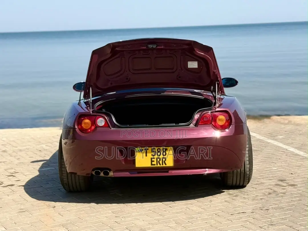 BMW Z4 2003 Burgundy