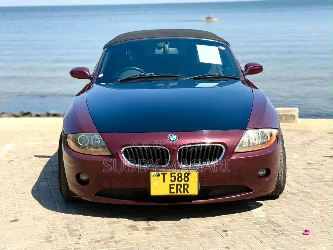 BMW Z4 2003 Burgundy
