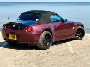 BMW Z4 2003 Burgundy
