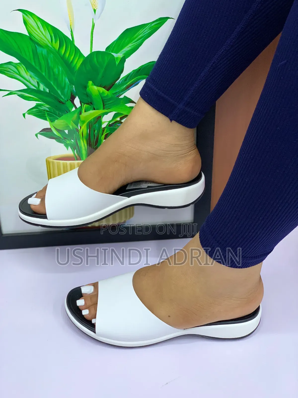 new Arrival—elyzavéra Women’s Shoes