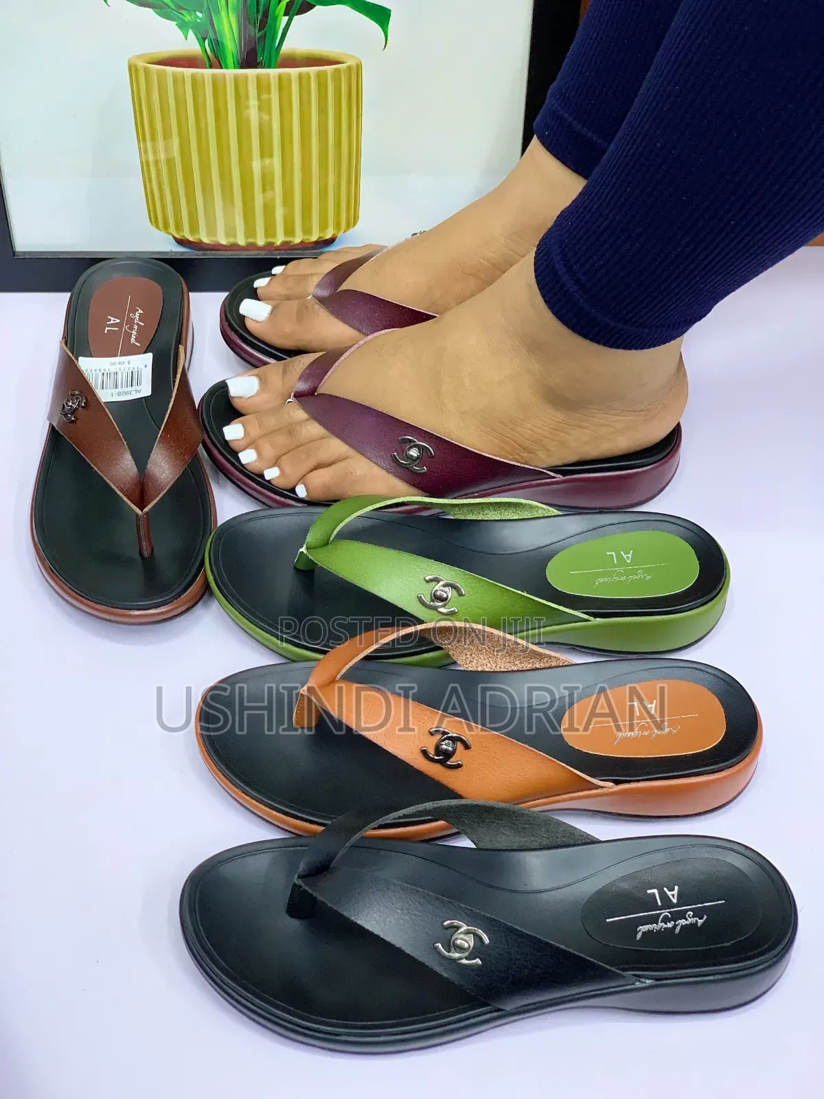 new Arrival—aurelissa Women’s Shoes