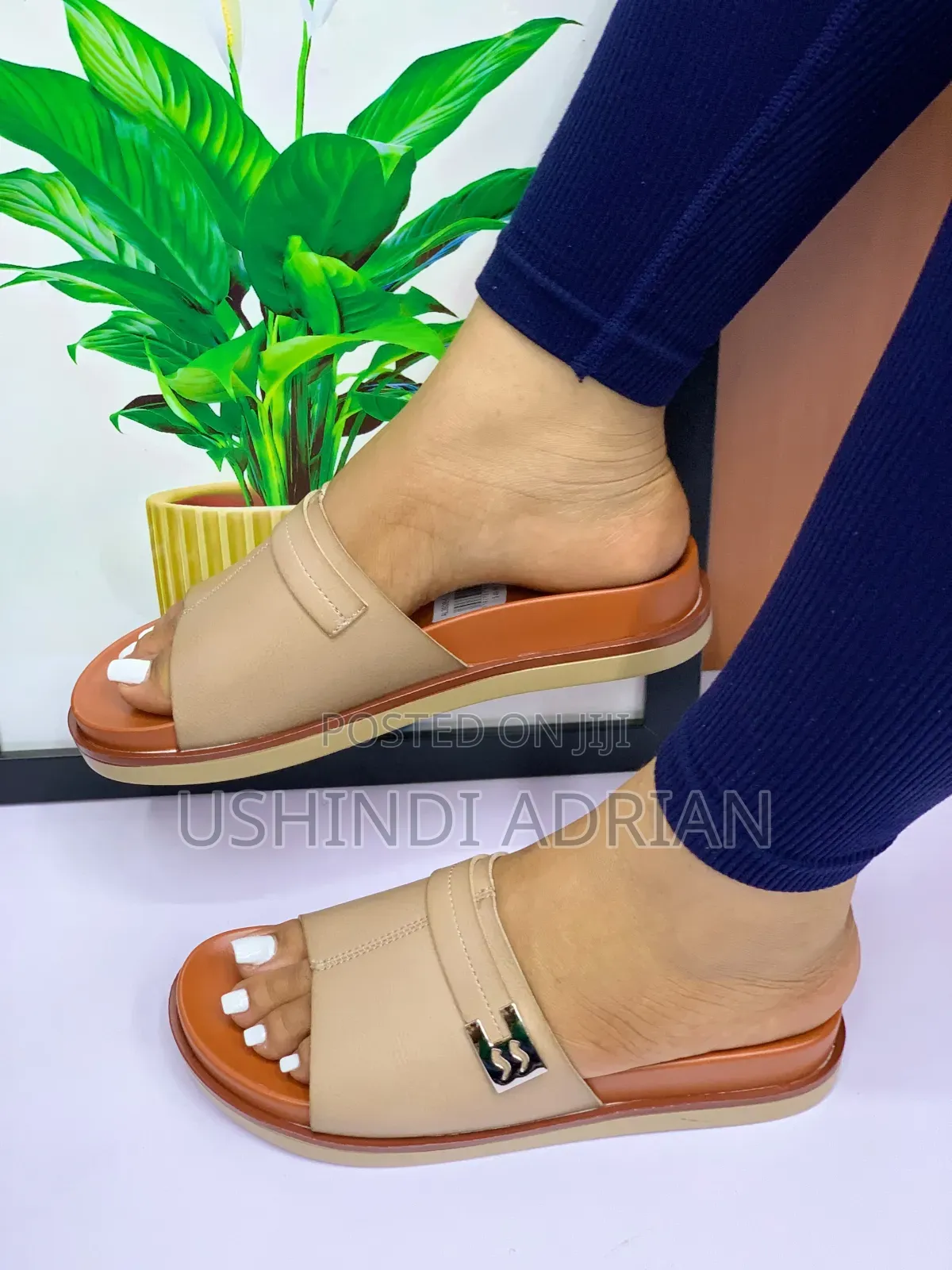 new Arrival—celavérin Women’s Shoes