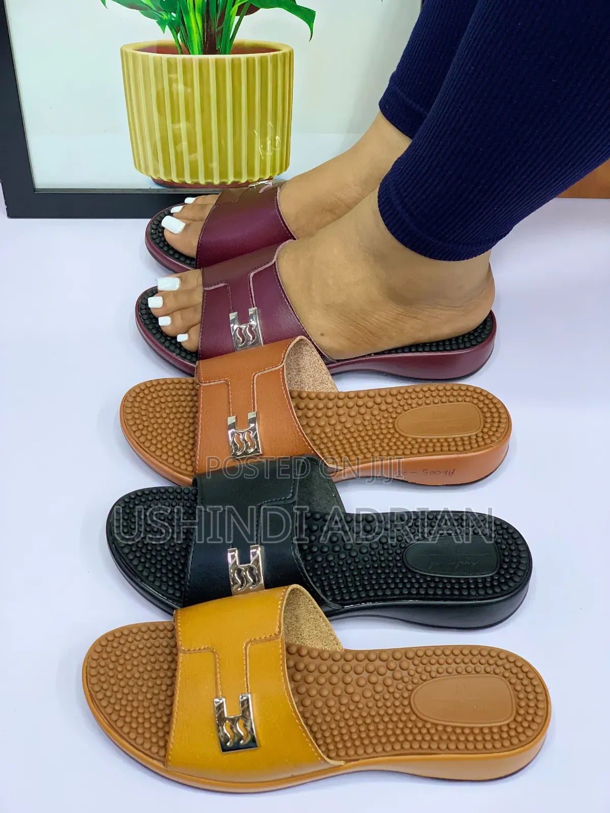 new Arrival—zeloréna Women’s Shoes