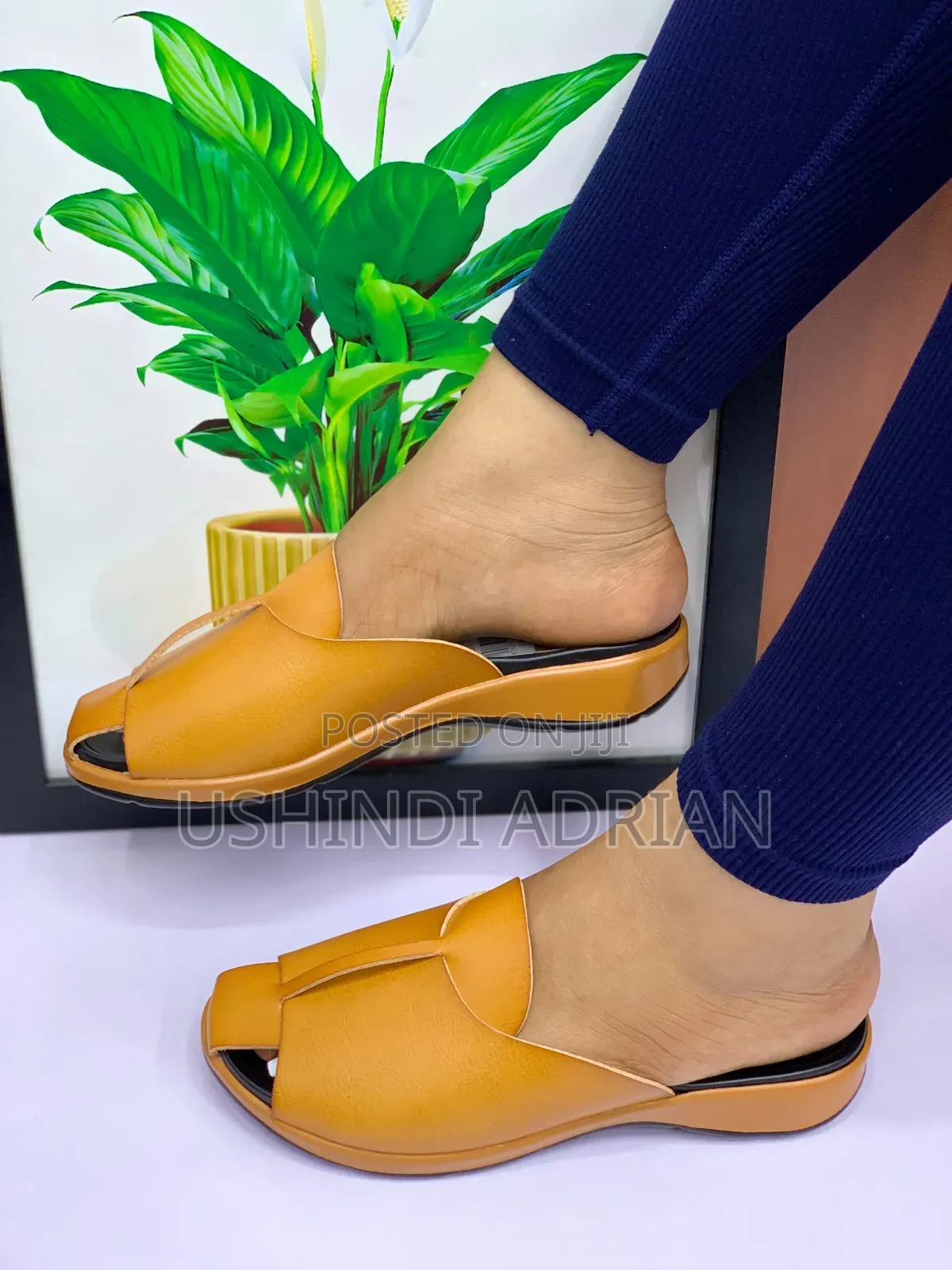 new Arrival—céloravia Women’s Shoes