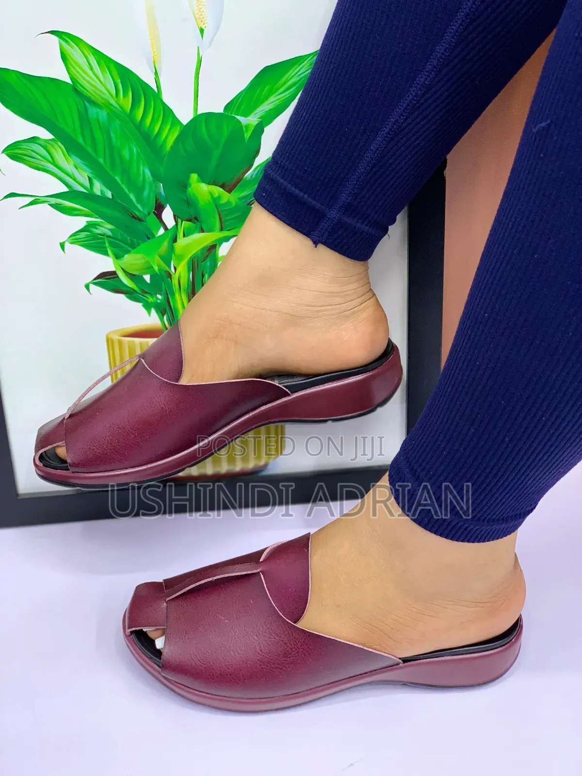 new Arrival—céloravia Women’s Shoes