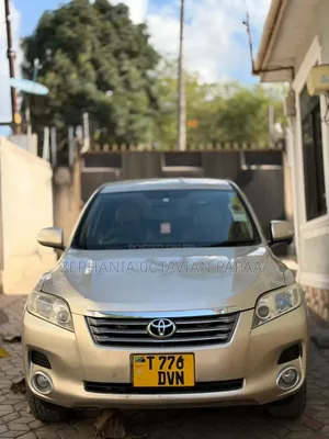 Toyota Vanguard 2009 Beige