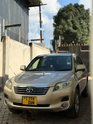 Toyota Vanguard 2009 Beige