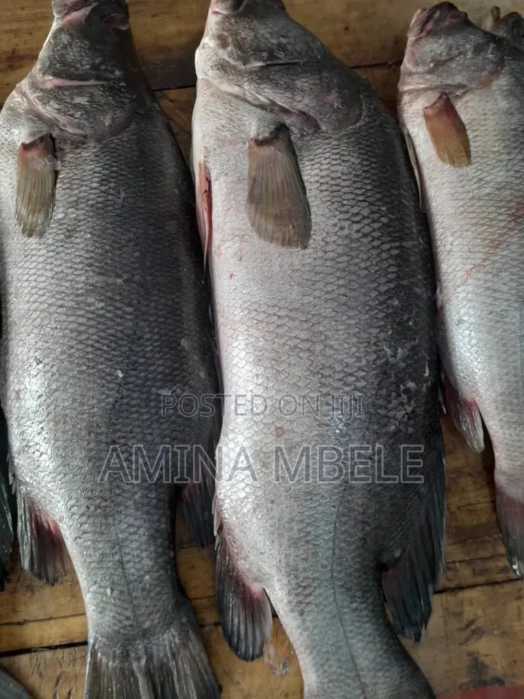 Samaki Sangara