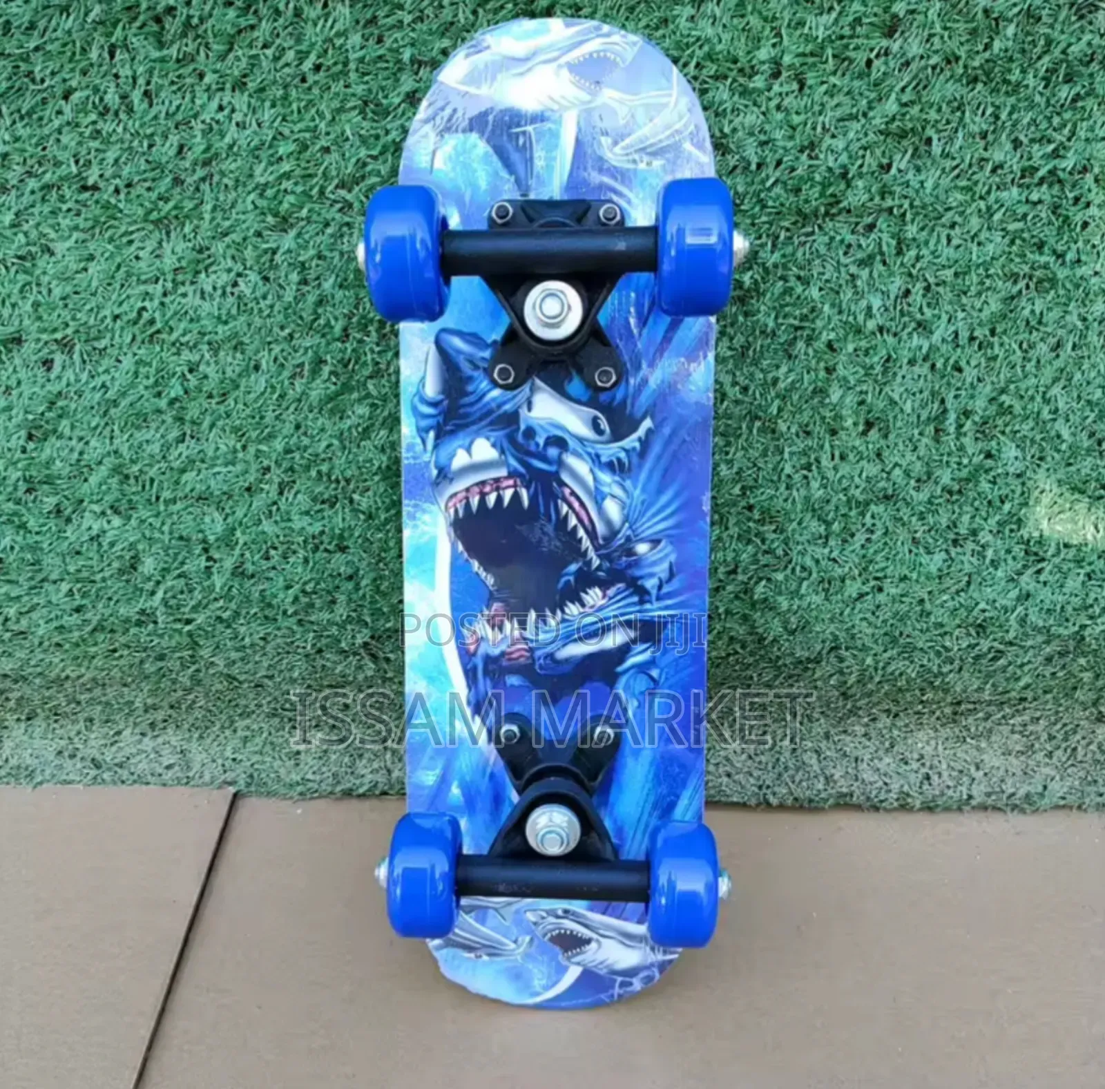 SkateBoard for Adult