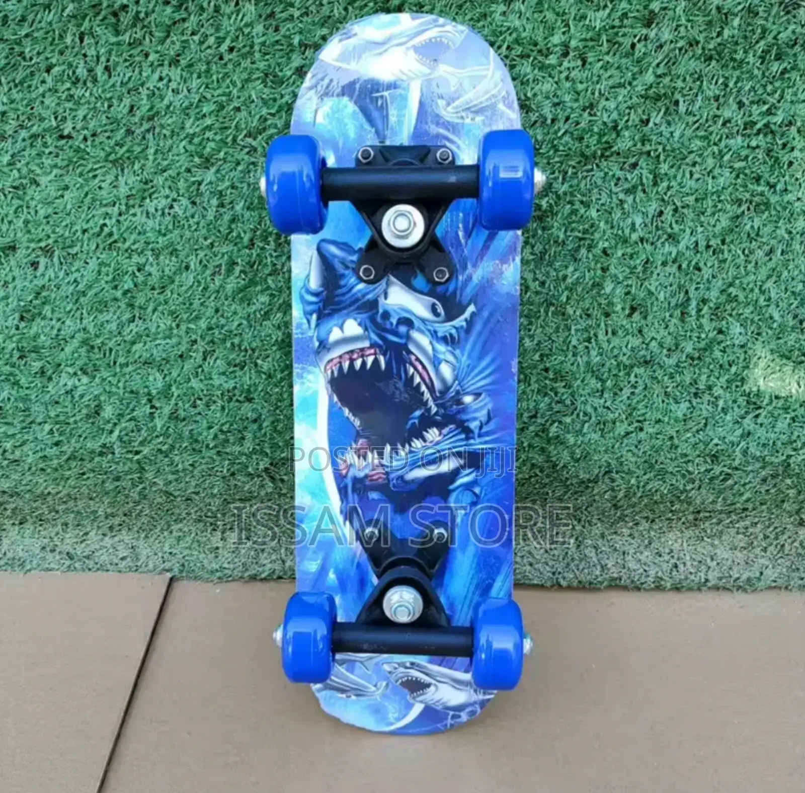 SkateBoard for Adult