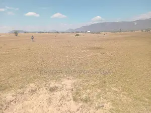 Kiwanja Kinauzwa Kikombo Dodoma