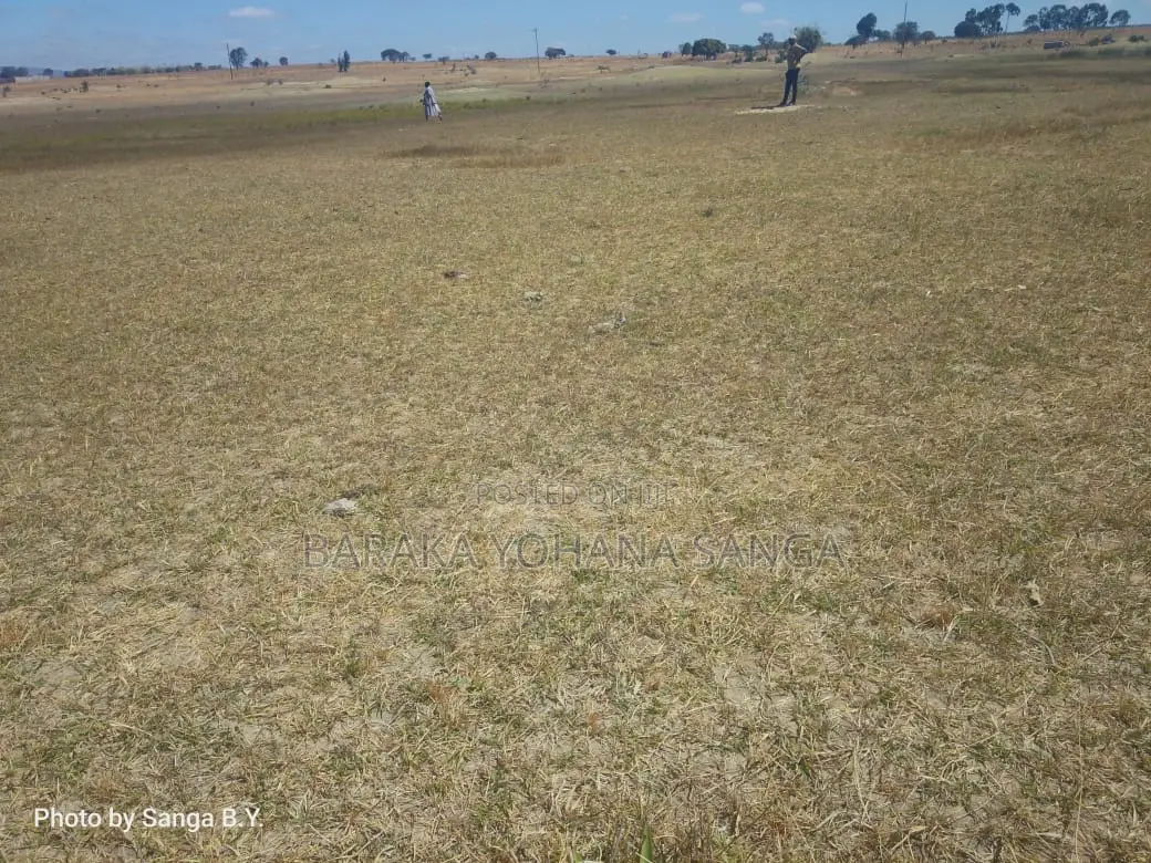 Kiwanja Kinauzwa Kikombo Dodoma