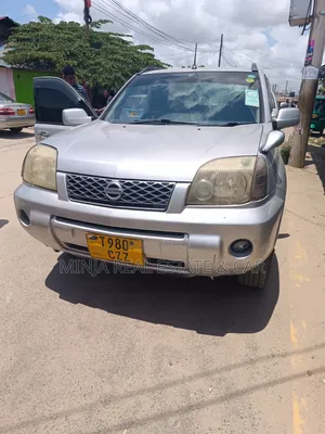 Nissan X-Trail 2005 Silver