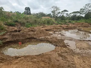 Dhahabu Kilindi