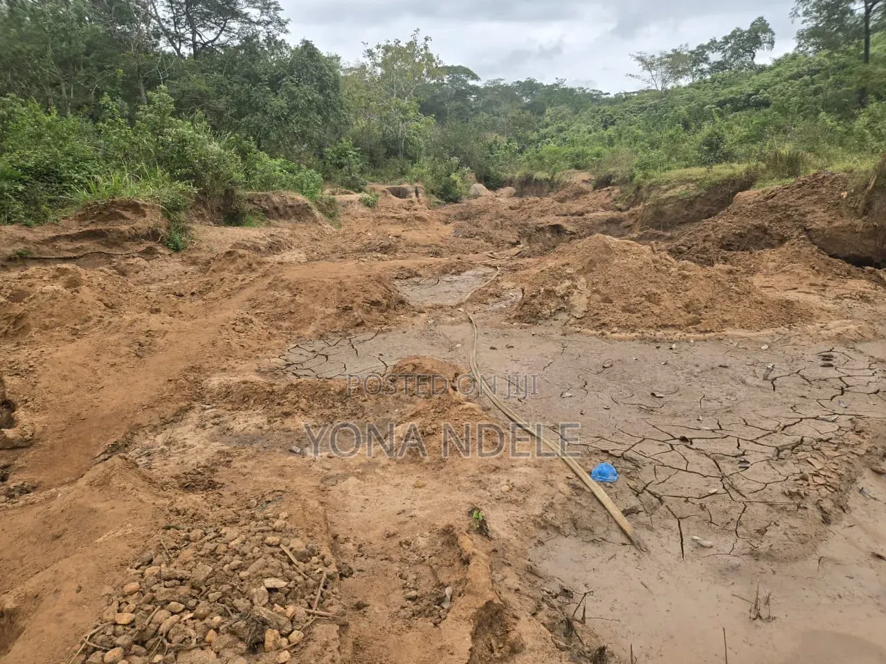 Dhahabu Kilindi