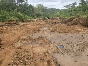 Dhahabu Kilindi